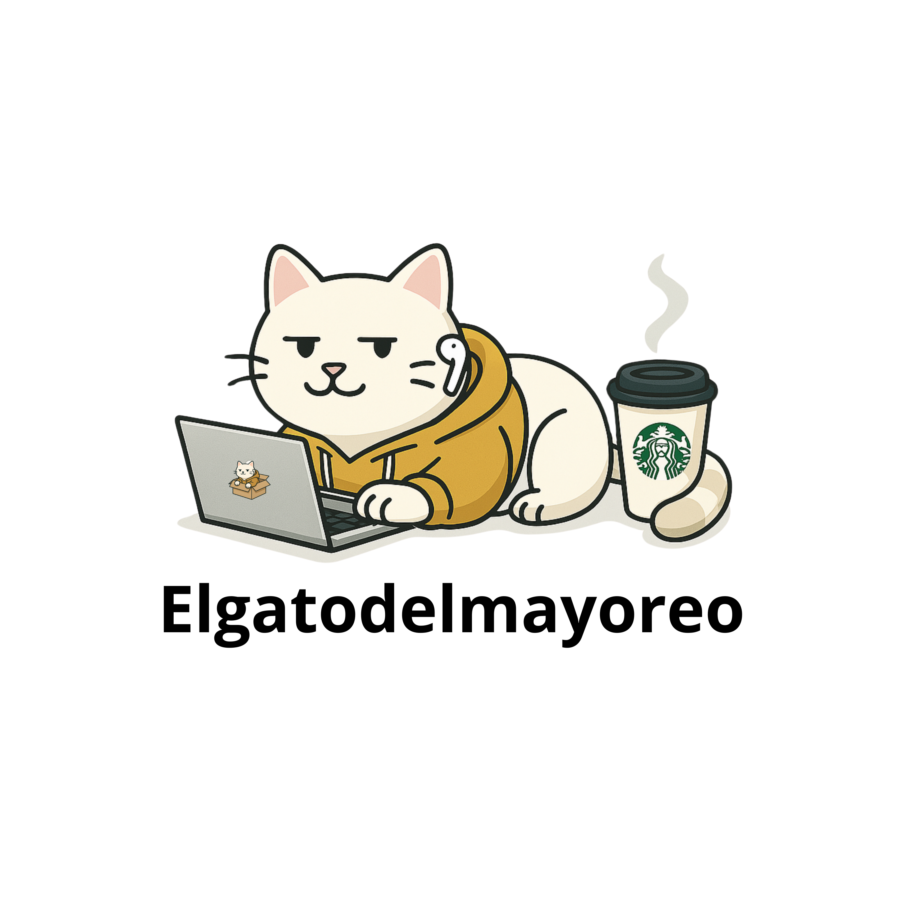 Paquetes Mayoreo