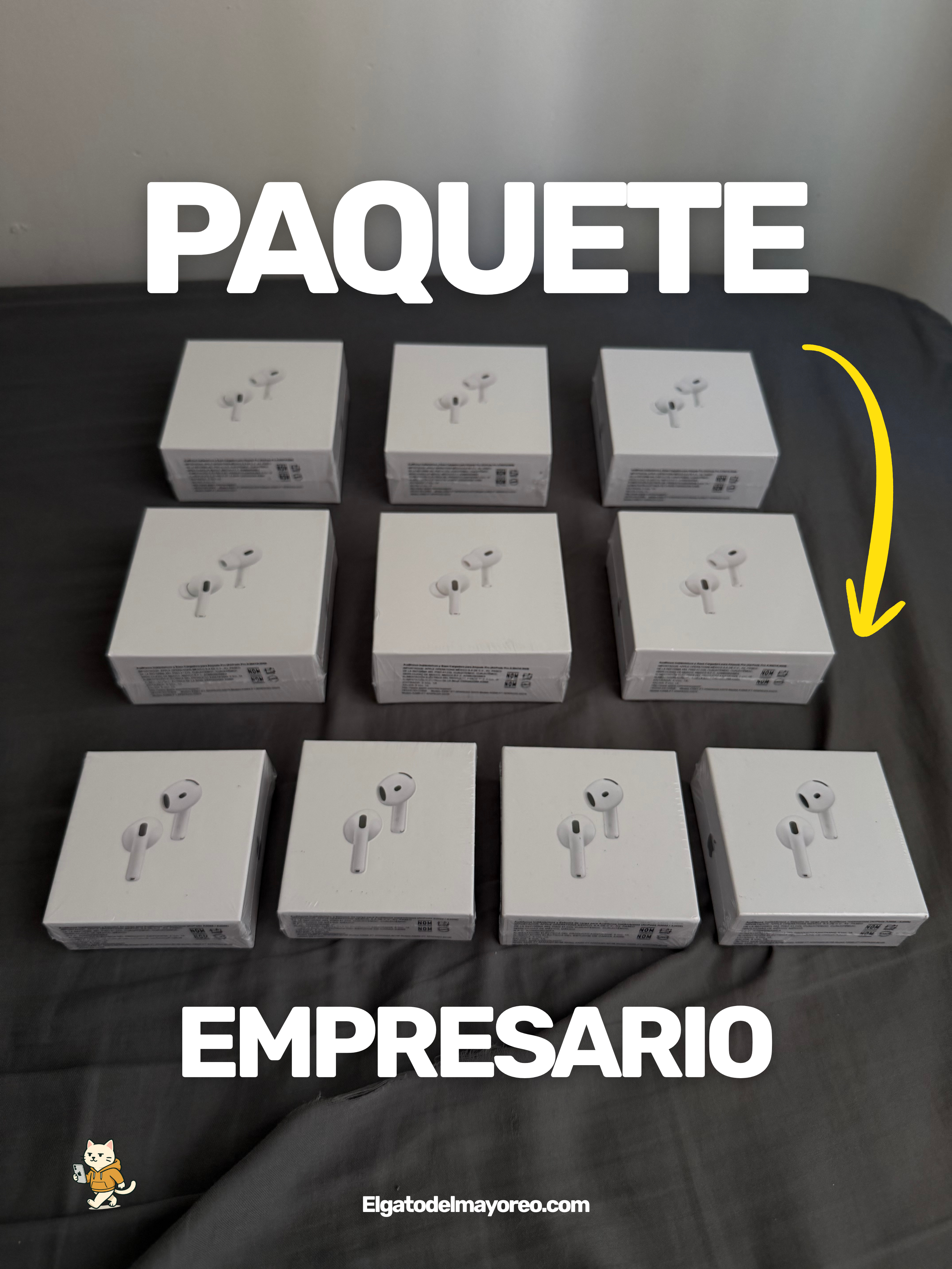 Paquete Empresario